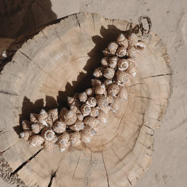Handmade Shell Strand | Light Brown | 30 cm | Bali