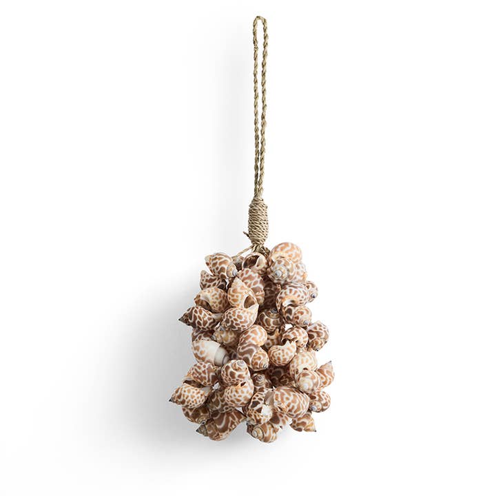 Decorative Shell Bundle | Small | Indoor & Outdoor