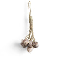 Mini Decorative Shell Bundle | Single | Indoor & Outdoor