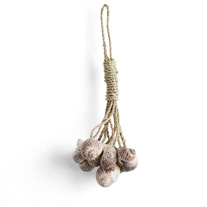 Mini Decorative Shell Bundle | Single | Indoor & Outdoor