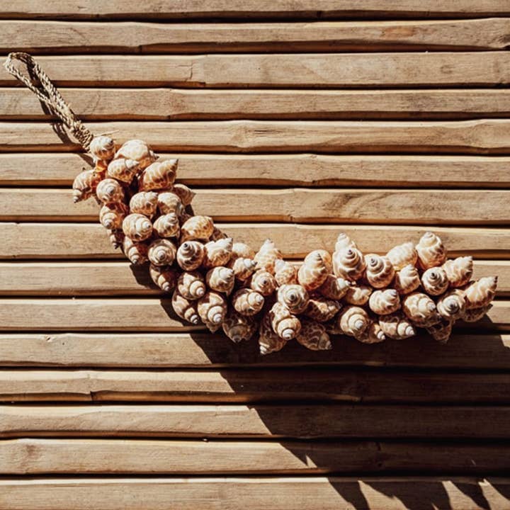 Handmade Shell Strand | Light Brown | 30 cm | Bali