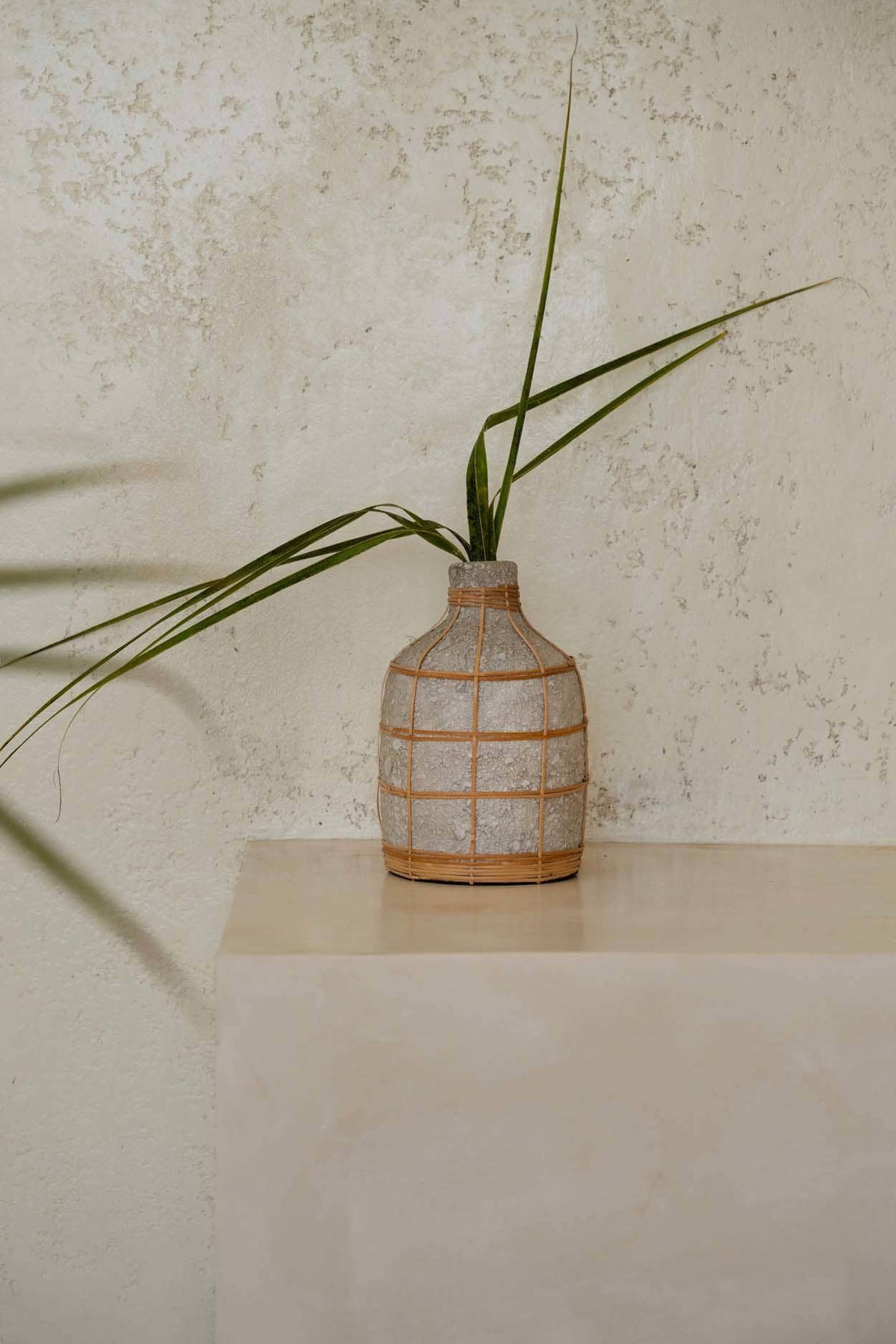 The Whoopy Vase, buet vase med rotting, Concrete Natural, L