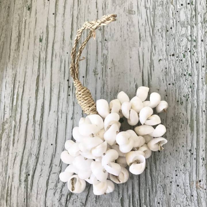 Decorative Shell Bundle | Small | Indoor & Outdoor