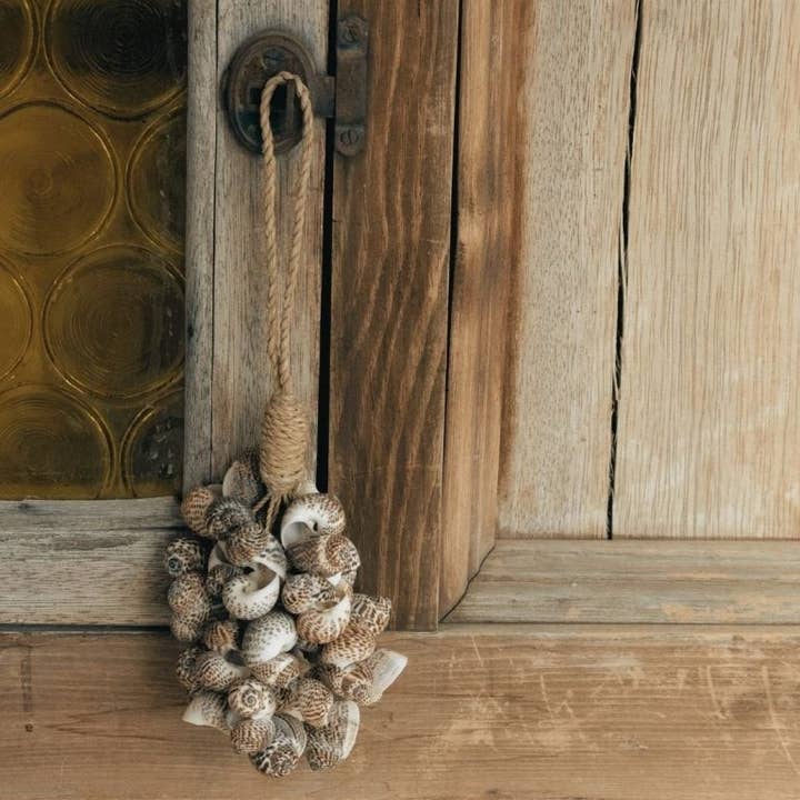 Decorative Shell Bundle | Small | Indoor & Outdoor