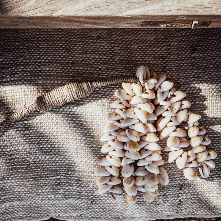 Cowrie Shell Wall Hanger | 6 Strands | 68 cm | Handmade in Bali