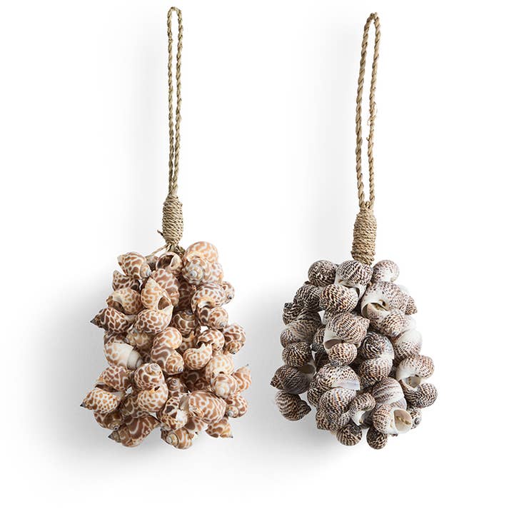 Decorative Shell Bundle | Small | Indoor & Outdoor