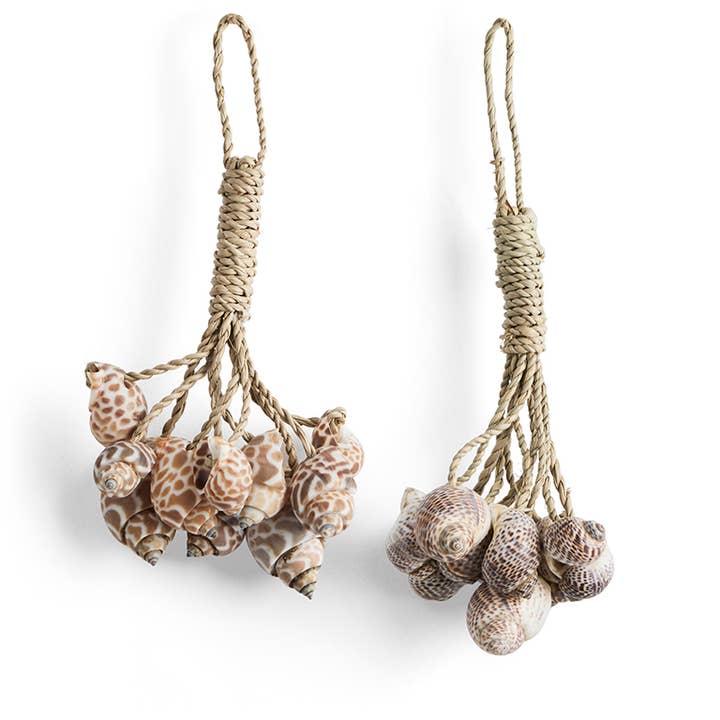 Mini Decorative Shell Bundle | Single | Indoor & Outdoor