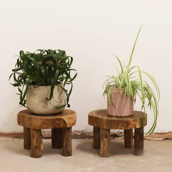 Teak Display Pad | Set of 2 | 27 × 15 cm | Handcrafted in Indonesia