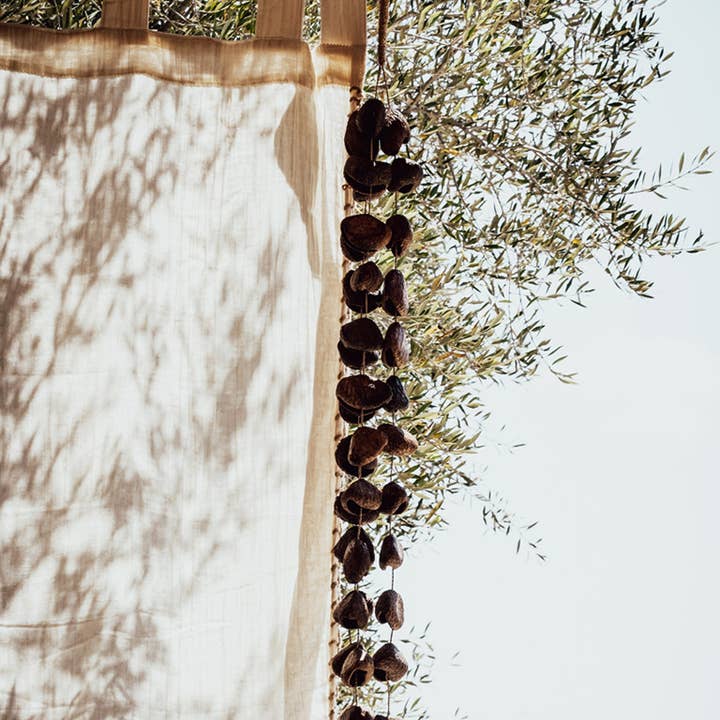 Pangi Nut Wall Hanger | Triple Strand | Handmade in Bali