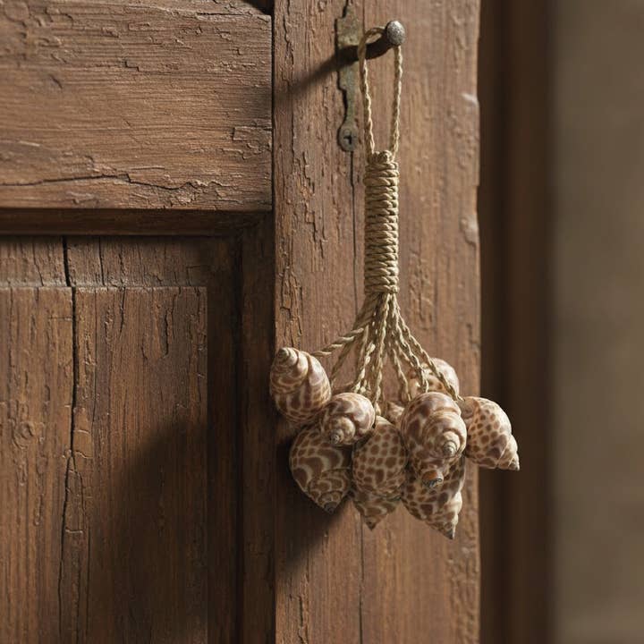 Mini Decorative Shell Bundle | Single | Indoor & Outdoor